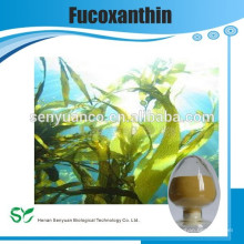 100% natürliche natürliche HPLC 10% Fucoxanthin